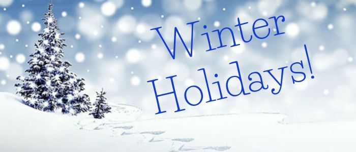 Winter Holiday Banner